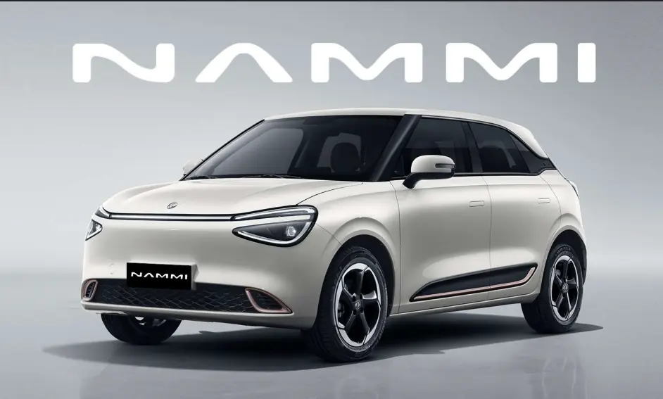 Nammi EV